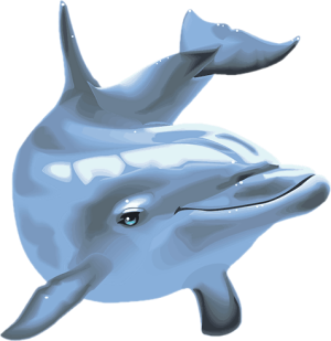 dolphin pearl logo icon