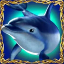 dolphins (wild) symbol, dolphin's pearl