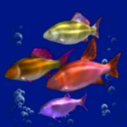 fishes symbols, dolphins pearl