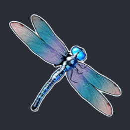 dragon fly symbol, big bass bonanza