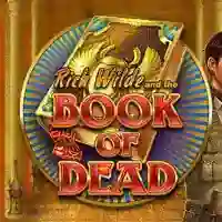 jugar book of dead tragamonedas, logo